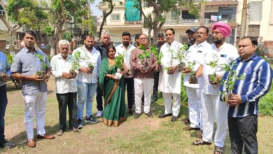 Deputy Chief Minister Dushyant Chautala reached the horizon of politics in a short time: Rajesh Bhatia