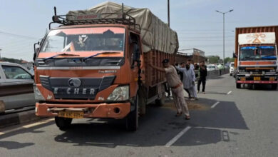 Truck crushed woman while crossing the highway, died