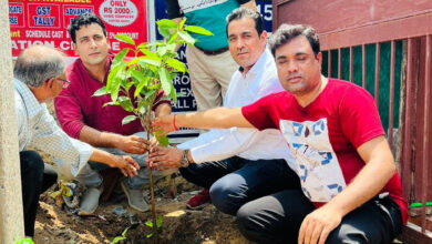 Increasing pollution can be stopped only by planting more and more trees: Ajay Bhadana