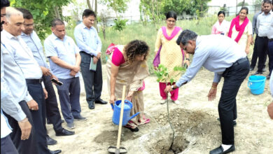 विश्व पर्यावरण दिवस पर किया पौधारोपण 