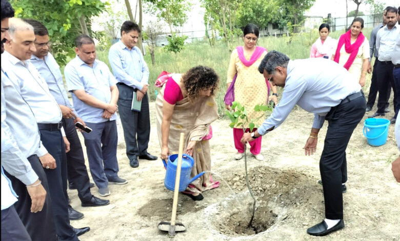 विश्व पर्यावरण दिवस पर किया पौधारोपण
