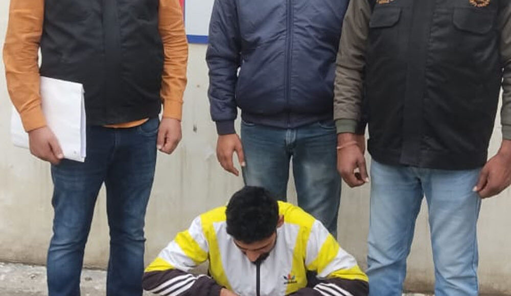 Crime Branch DLF team arrested the accused with pistol and cartridges.