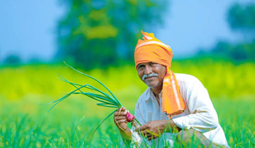 Data-driven modern agricultural platform helps Wardha farmer to increase production through modern methods