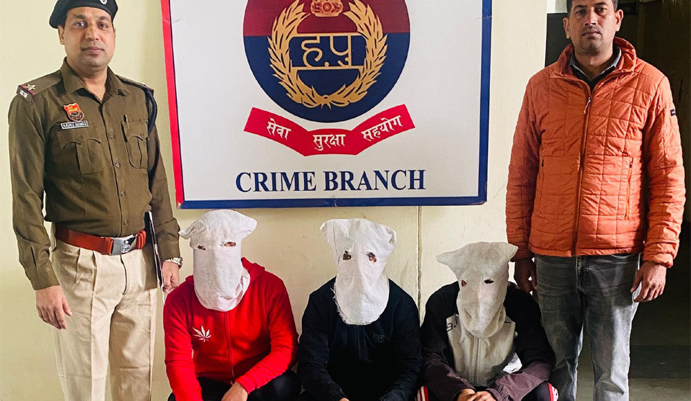 Crime Branch Sector-30 team arrested 3 accused who tried to rob.