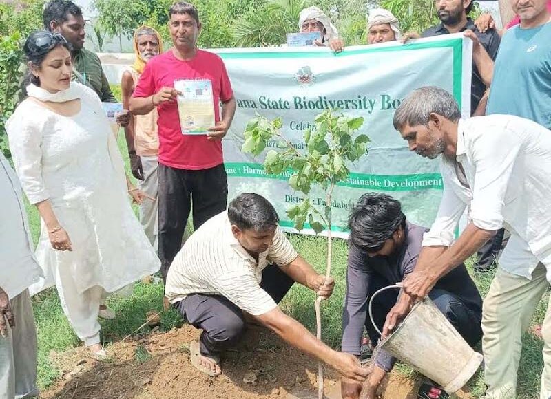ऑपरेशन सिंदूर के शहीदों को समर्पित किया स्मृति पौधारोपण अभियान