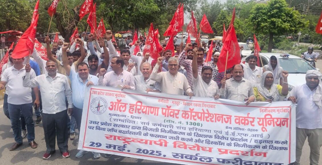 Electricity employees took to the streets to protest against privatisation and took out a rally