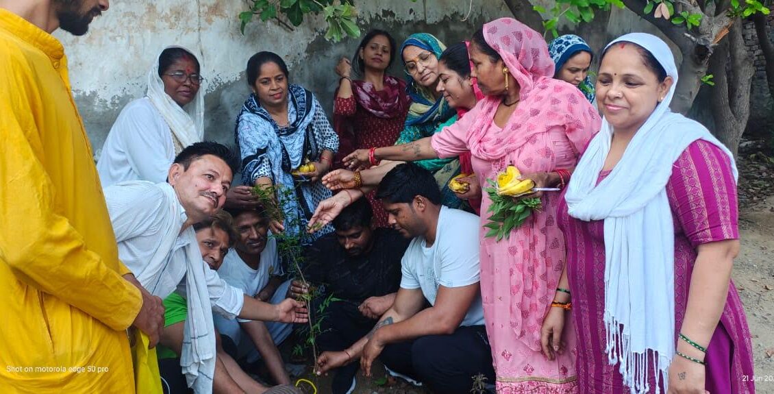 Plantation done by Sanse Foundation on International Yoga Day: Jaswant Pawar