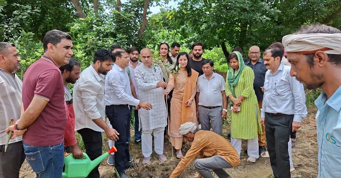 Vikas Purush Tree Man Moolchand Sharma launched plantation campaign in Ballabhgarh
