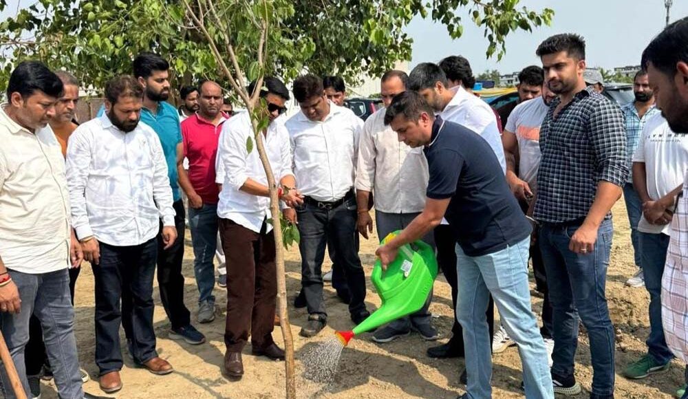 BJP members planted trees on Devendra Chaudhary's birthday