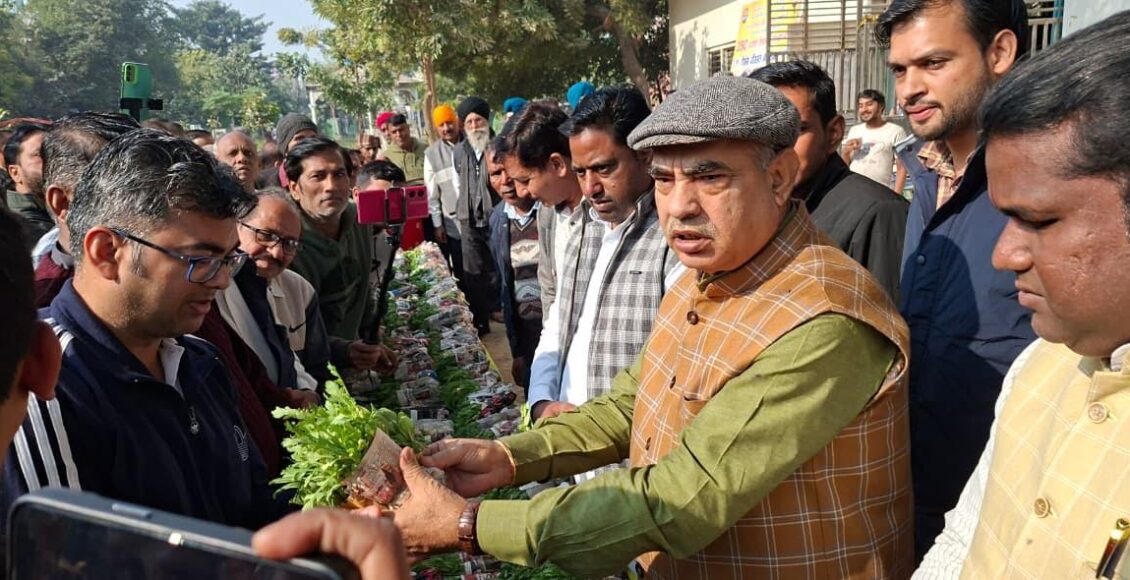 Former minister Moolchand Sharma distributed 5 lakh winter flower plants.