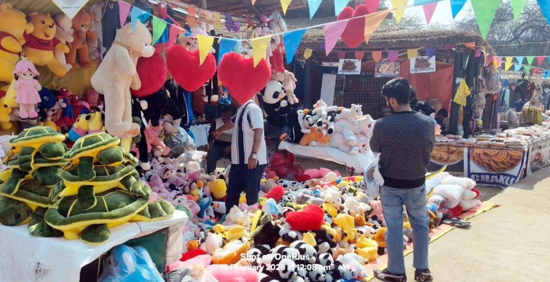 Various types of toys at Surajkund Mela appeal to children.