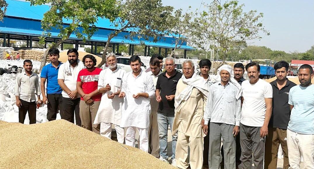 Farmers are facing hardships in Tigaon grain market during JP rule: Rohit Nagar
