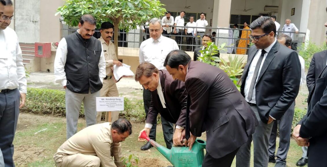 Planting of 50 saplings in the District Court premises on World Environment Day