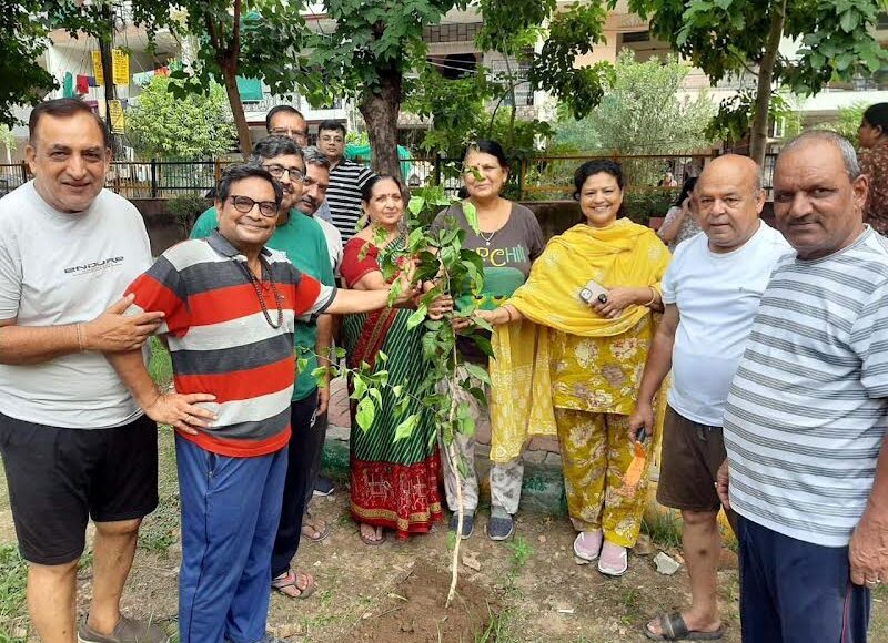Planting trees is essential to keep the environment clean: KC Sharma