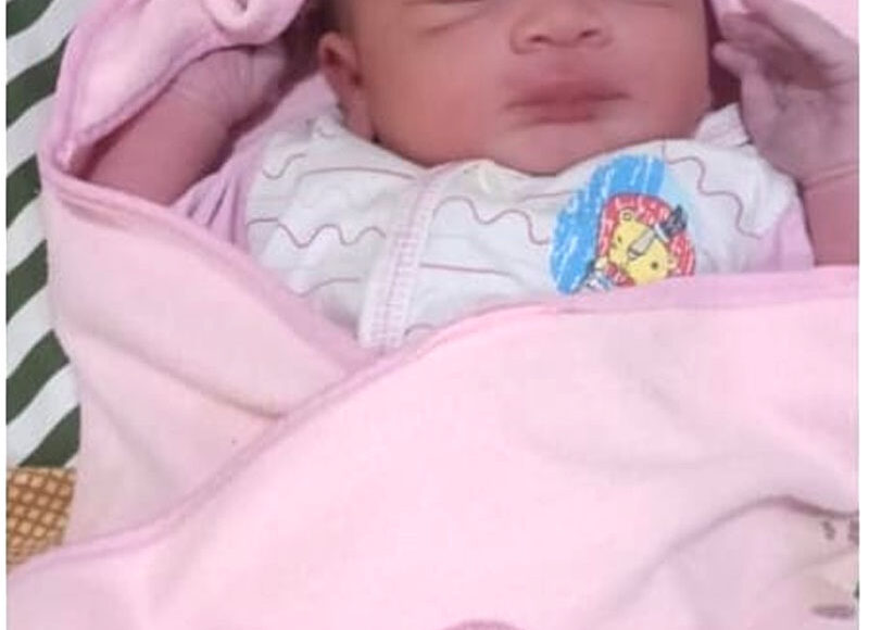 “मेरा आयुर्वेद को देखने का नजरिया ही बदल गया”