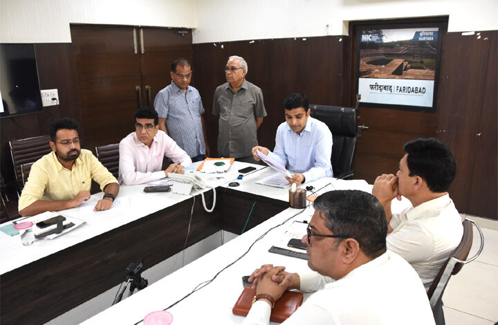 अवैध खनन करने वालों के खिलाफ करें सख्त कानूनी कार्रवाई : डीसी विक्रम सिंह