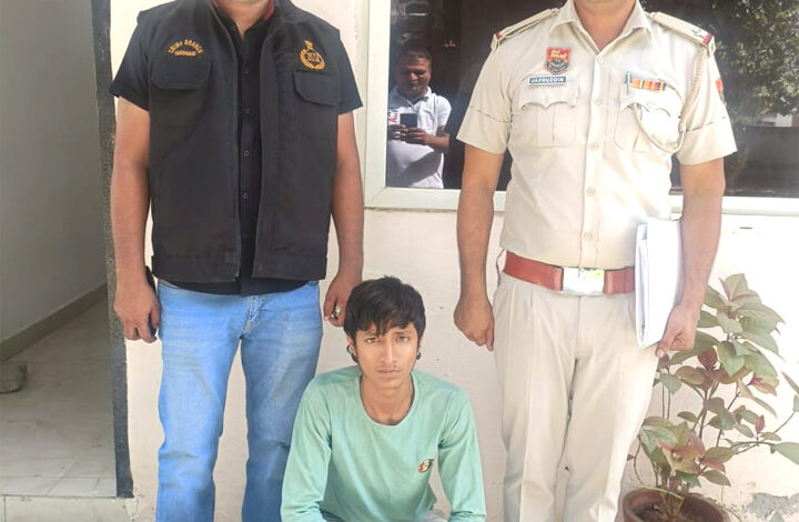 The team of police post Sikrona arrested the accused who was made PO by the court in the theft case.